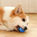 PET TOY BALL AUTOMATIC MOVING