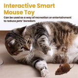 PET INTERACTIVE MOUSE TOY