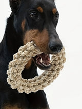 PET DOG ROPE TOY DURABLE CHEW