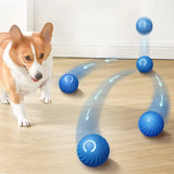 PET TOY BALL AUTOMATIC MOVING